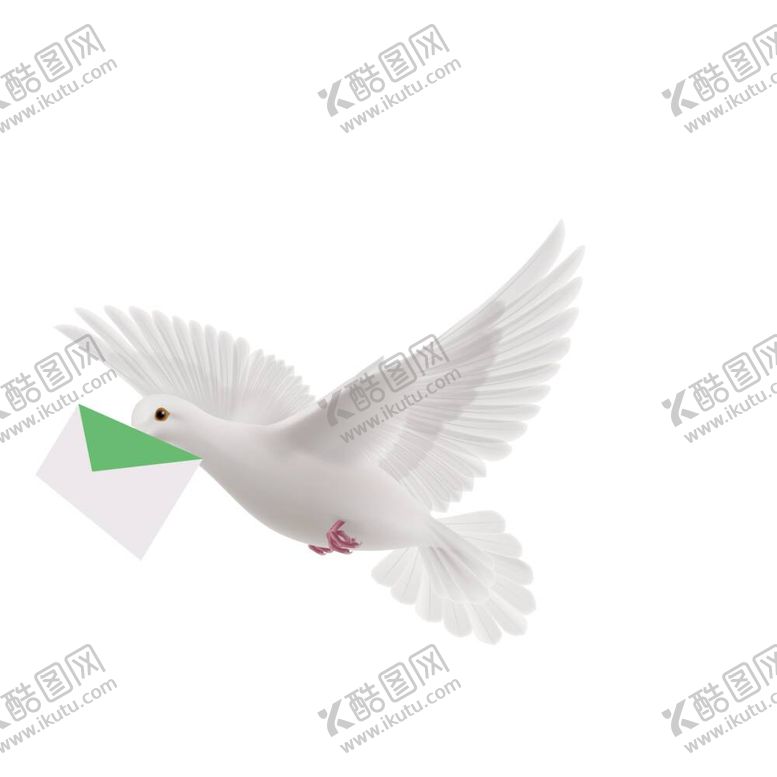 编号：31418911302231174926【酷图网】源文件下载-鸽子 白鸽 灰鸽 信鸽 赛鸽 