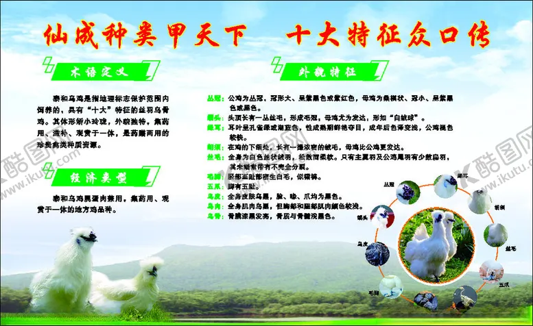 编号：98531502120936417049【酷图网】源文件下载-泰和乌鸡简介