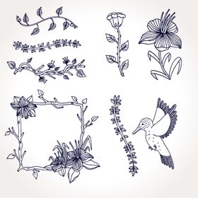 线条仙人掌花卉素材线描植物