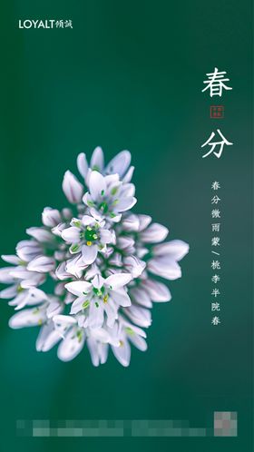 绿色清新春分海报
