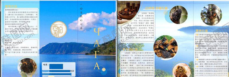 编号：68400109200322178622【酷图网】源文件下载-蓝色自然背景三折页