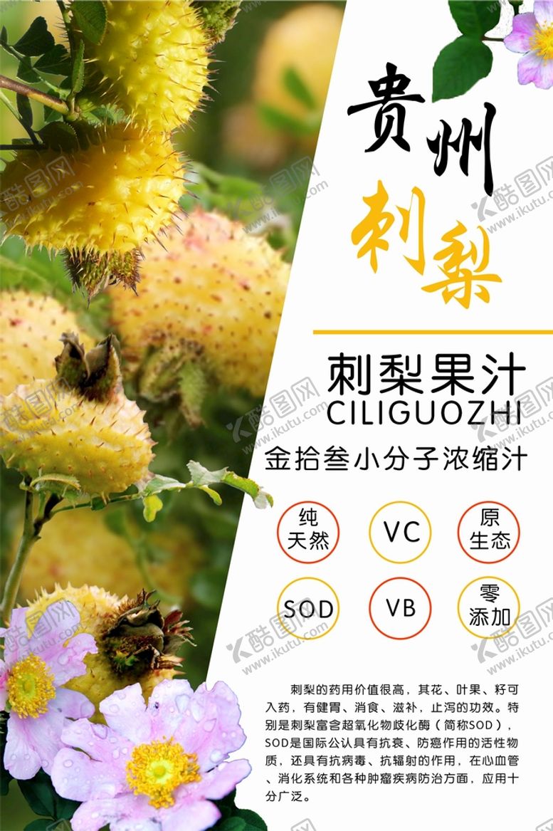 编号：67340509221105233879【酷图网】源文件下载-刺梨海报