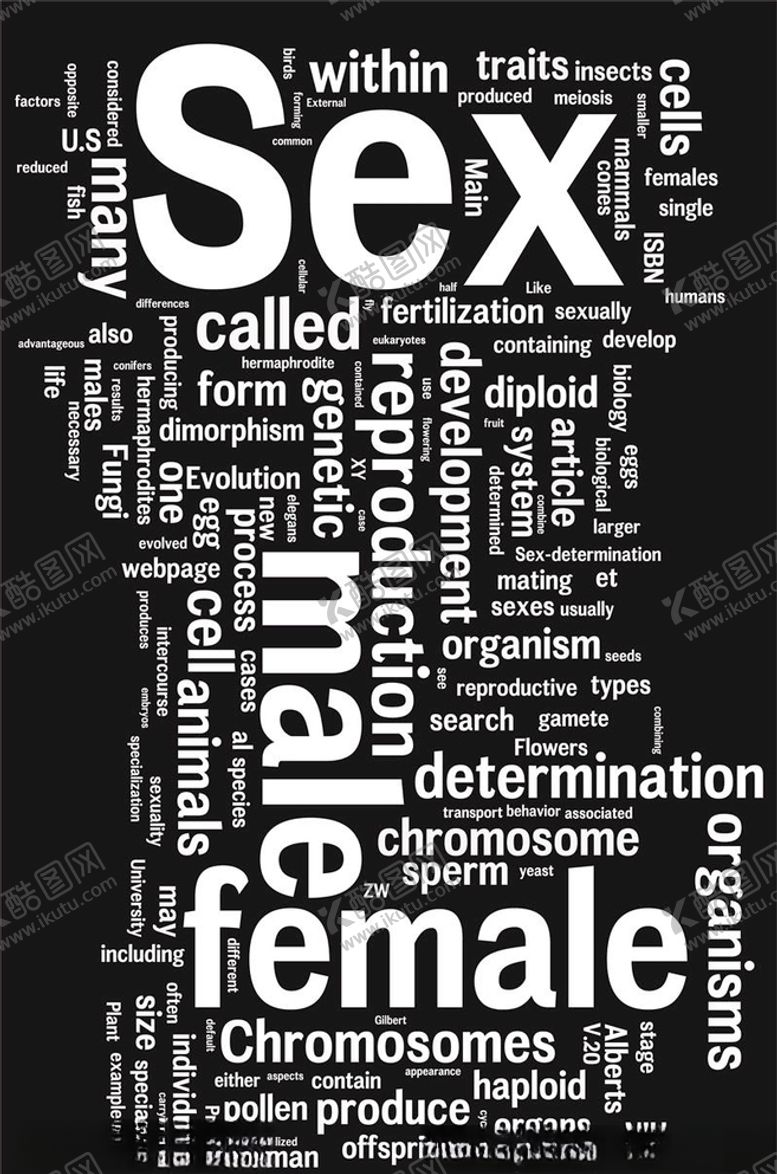 编号：79215710302111189332【酷图网】源文件下载-欧美设计模板