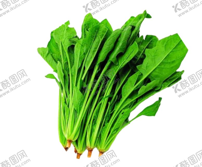 编号：27649110062349471189【酷图网】源文件下载-菠菜宣传A4单页免扣图