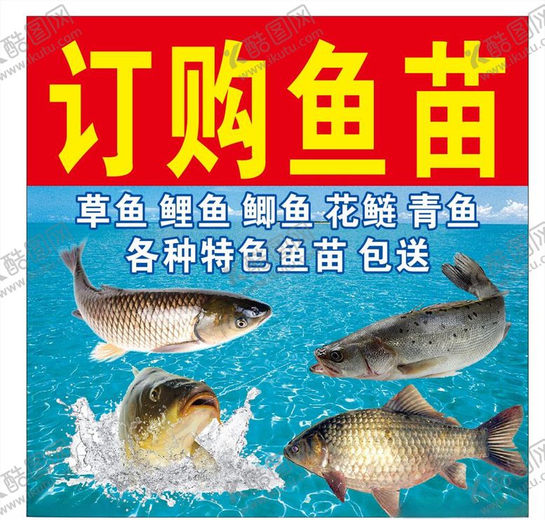 编号：44387805091150537935【酷图网】源文件下载-鱼苗