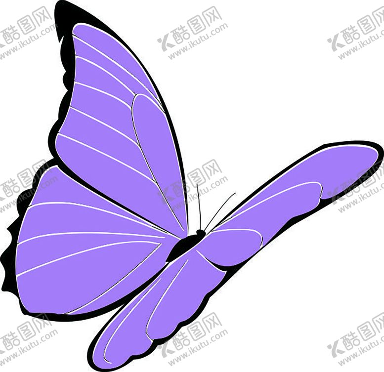 编号：97212401261326466531【酷图网】源文件下载-蝴蝶