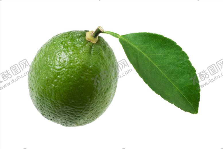 编号：44323910111633118281【酷图网】源文件下载-水果