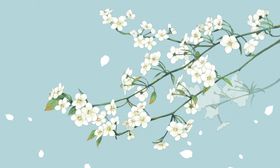 樱花
