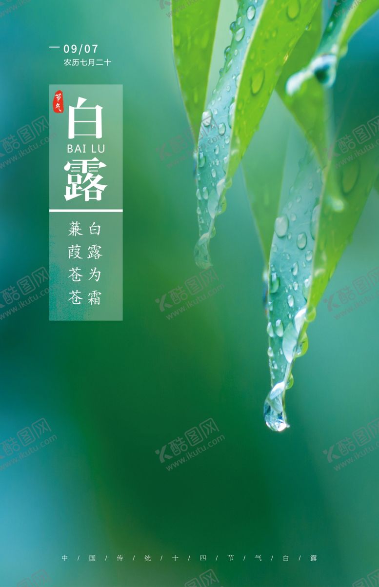 编号：27224707052048309961【酷图网】源文件下载-白露