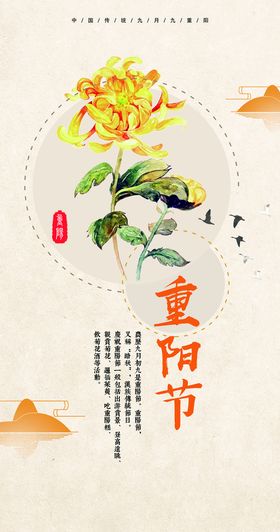 重阳节祥云菊花