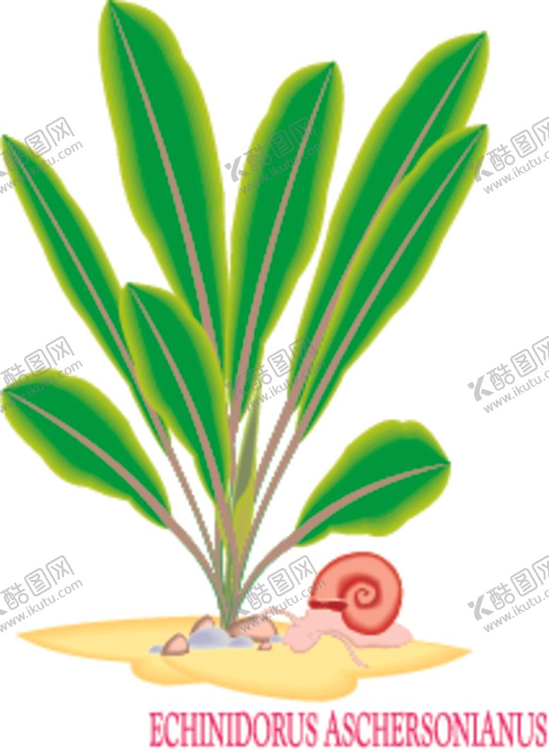编号：40422906261441466664【酷图网】源文件下载-植物