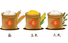 面粉大米玉米插画