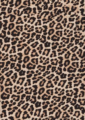 豹纹图案布料纹理