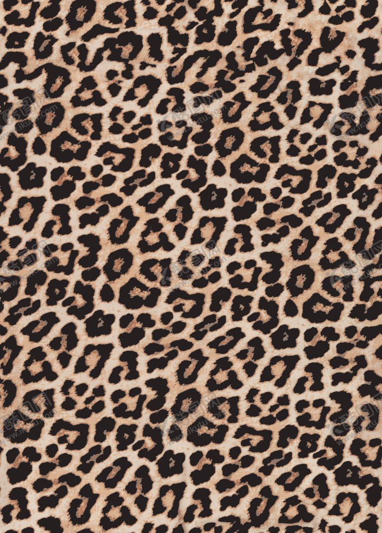 编号：78220904280108039205【酷图网】源文件下载-豹纹图案布料纹理