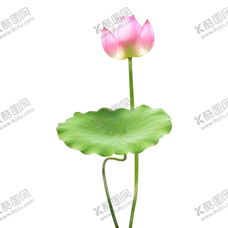 编号：35195605041909381256【酷图网】源文件下载-荷花元素