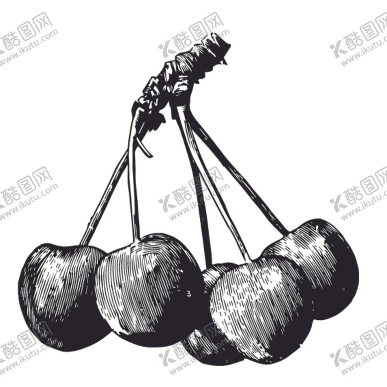 编号：70864110051939256892【酷图网】源文件下载-水果绘画线稿图案