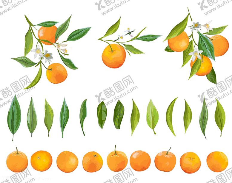 编号：59132809292039192986【酷图网】源文件下载-水果