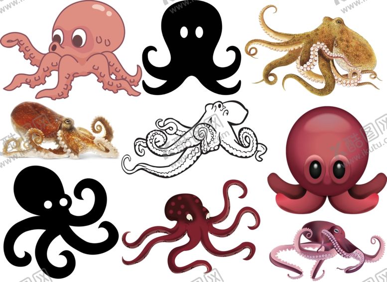 编号：84684609140035414491【酷图网】源文件下载-章鱼png免扣高清素材