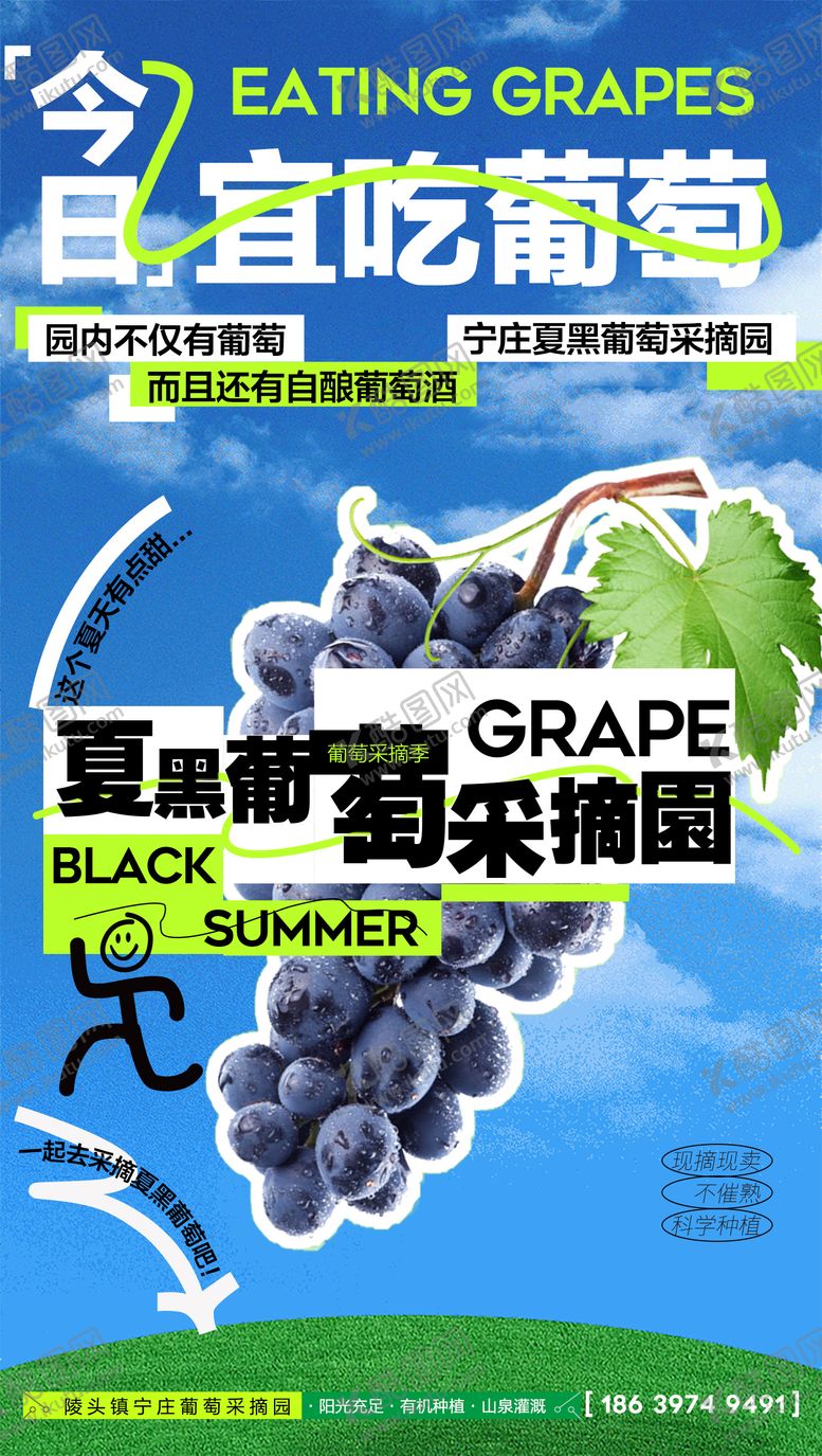 编号：63139311202124102881【酷图网】源文件下载-水果海报