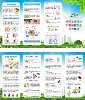 病媒生物防制与预防登革热折页