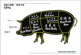 家禽分割图