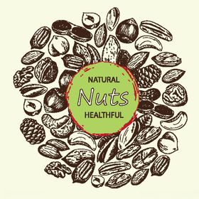 手绘坚果