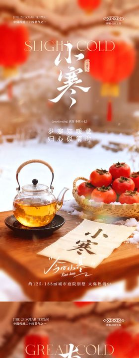 地产小寒节气雪景海报