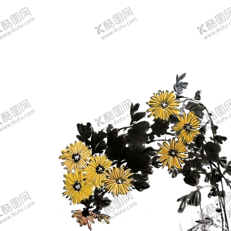 编号：64580110041802048502【酷图网】源文件下载-国画菊花