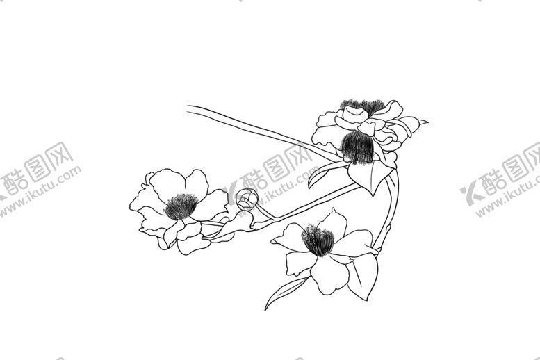 编号：49865106171029513148【酷图网】源文件下载-茶花