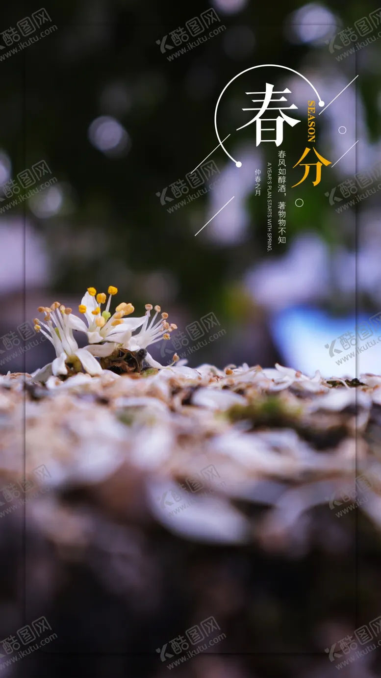 编号：56315403311052507299【酷图网】源文件下载-春分花朵