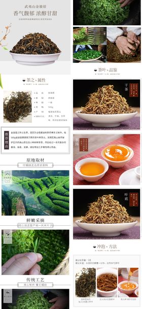 金骏眉茶海报