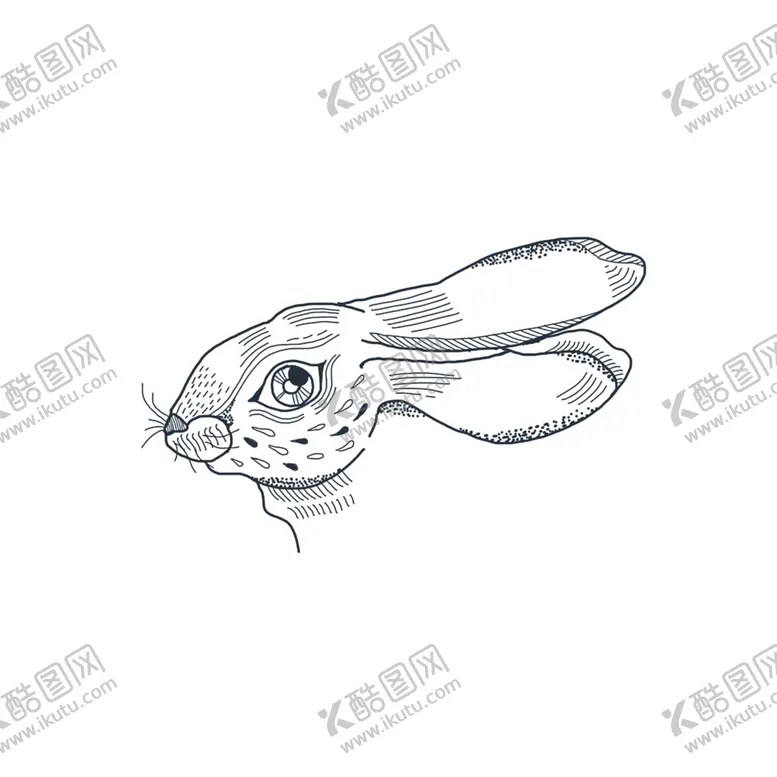 编号：87076309120920276319【酷图网】源文件下载-兔子纹身