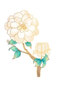 茶花