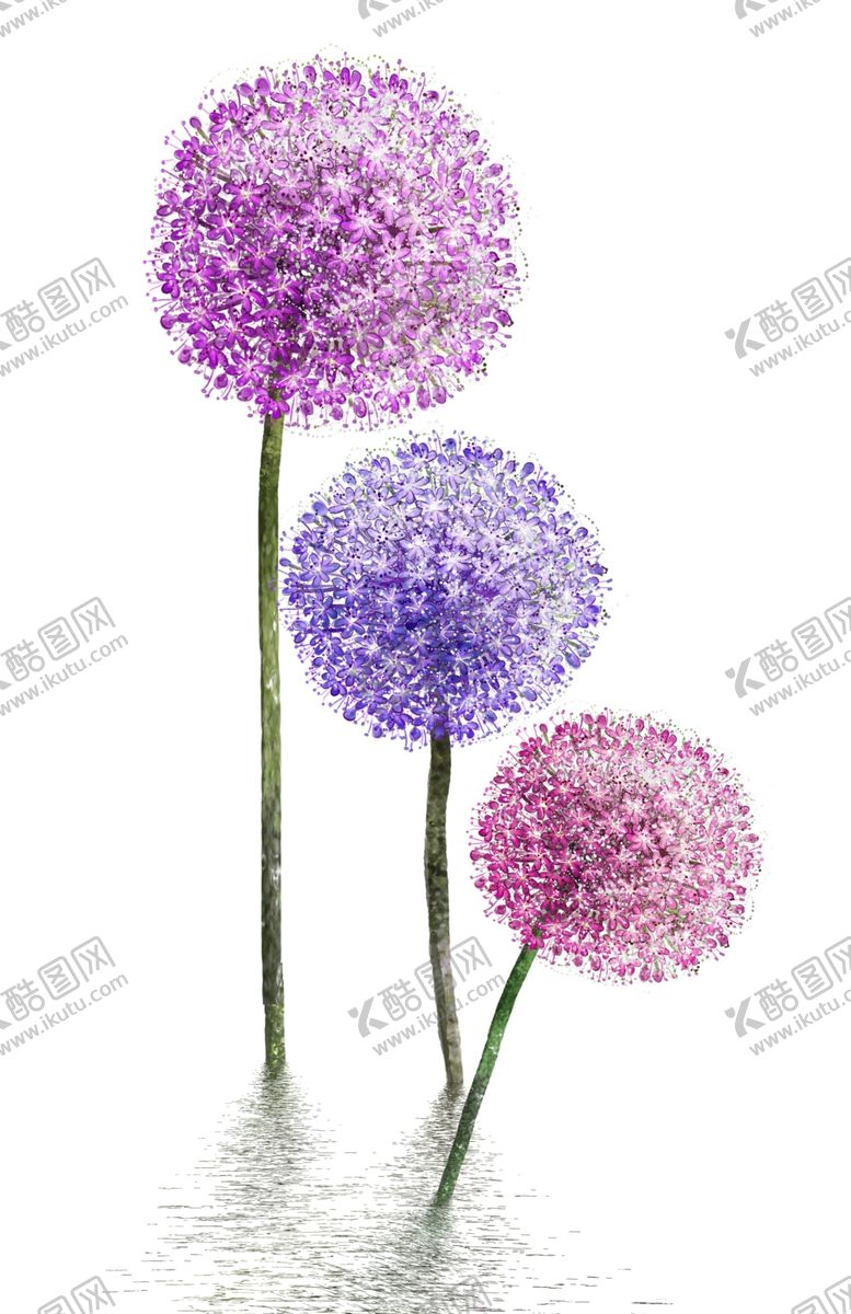 编号：68647606172150034857【酷图网】源文件下载-蒲公英