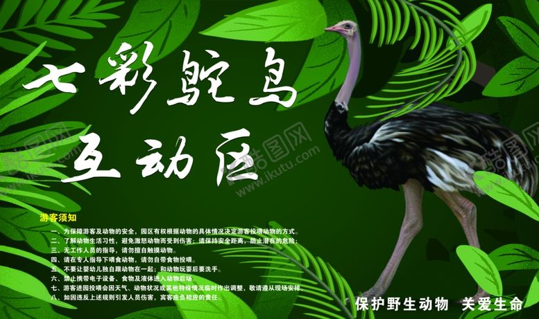 编号：68610901261316209620【酷图网】源文件下载-七彩鸵鸟互动区