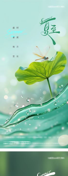 夏至节气系列海报