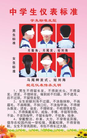 中学生仪表标准