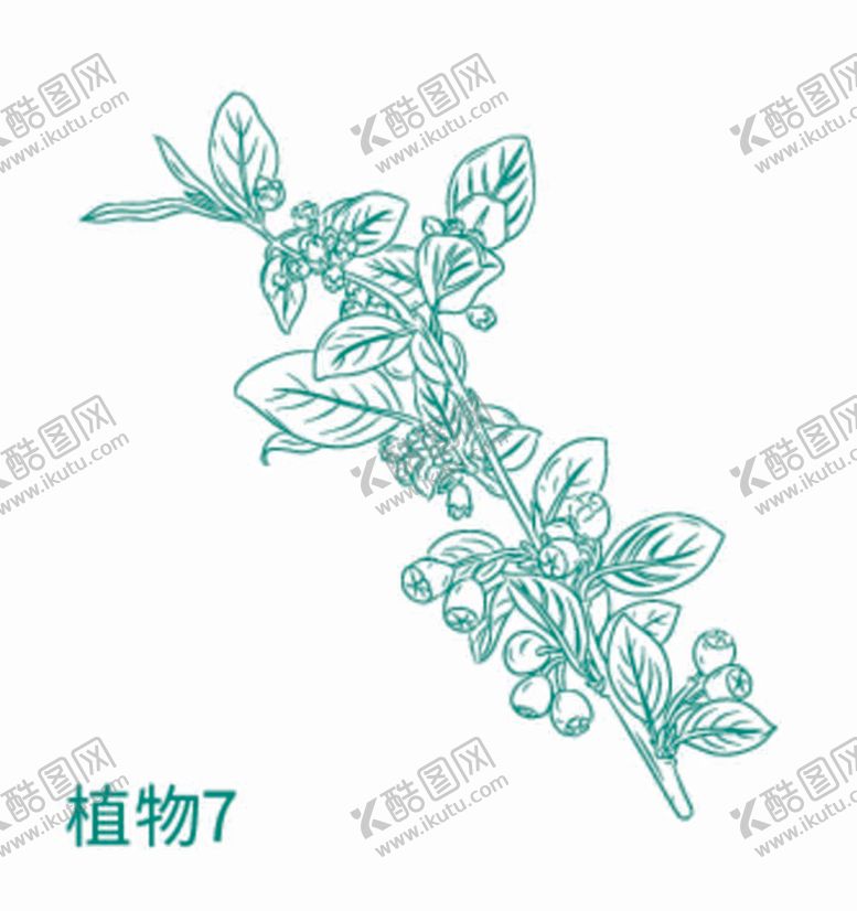 编号：88600711300147311004【酷图网】源文件下载-植物 草本 矢量图 中药