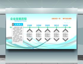 企业发展历程