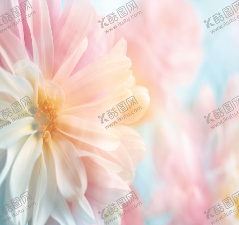 编号：14092909110554316690【酷图网】源文件下载-春暖花开