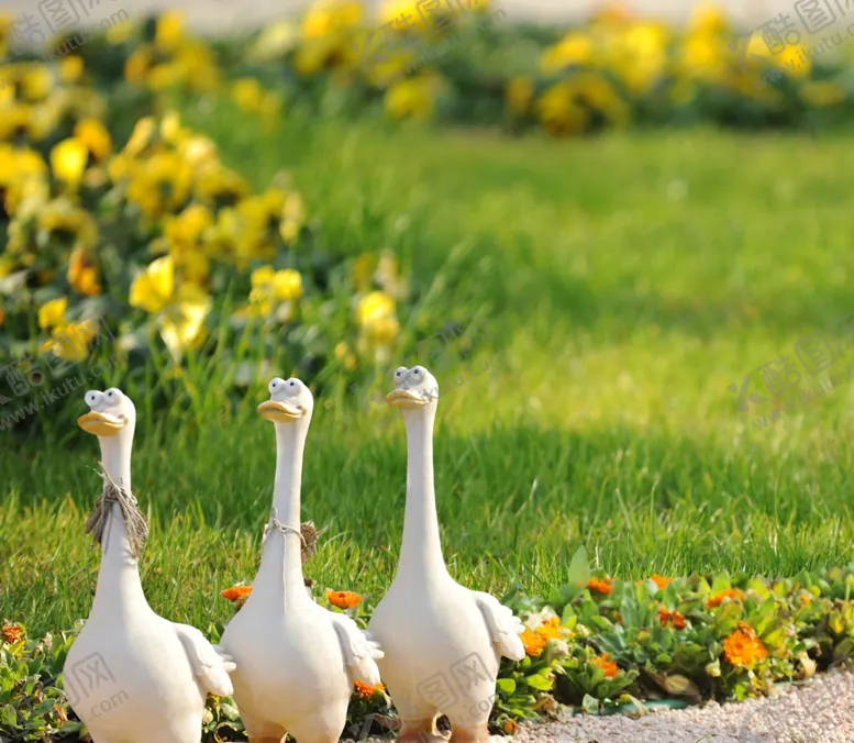 编号：10682509141605388485【酷图网】源文件下载-影楼海报