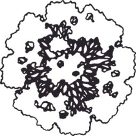 花卉系列海报
