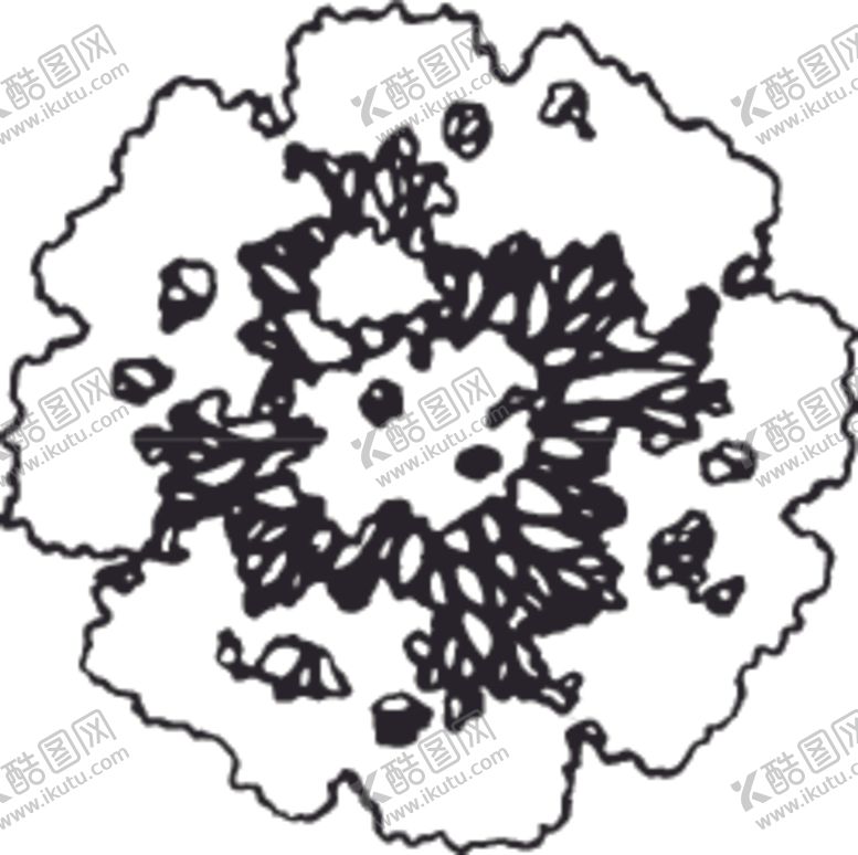 编号：20623707090442548065【酷图网】源文件下载-花卉系列花芯