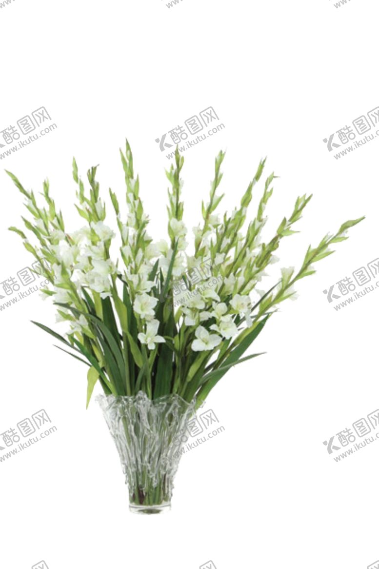 编号：52414309290108206830【酷图网】源文件下载-免抠背景花草树木