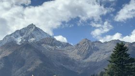 雪山树木风景