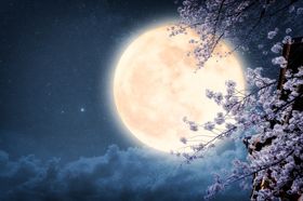 中秋图片