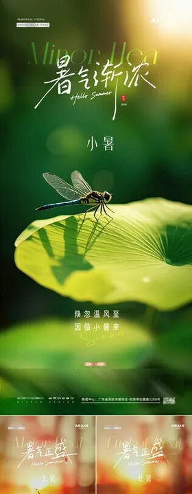 大暑小暑处暑俯视风景海报
