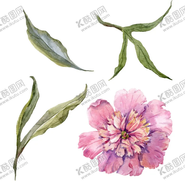 编号：34146607022029432828【酷图网】源文件下载-手绘植物