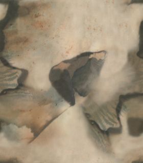 抽象水墨风格的鱼形图案