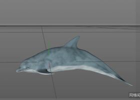 C4D模型海豚